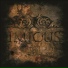 Imicus