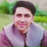 Wazir Pardes