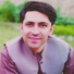 Wazir Pardes