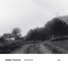 Ralph Towner