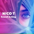 Nico T