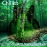 Chillitt