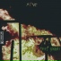 Stve