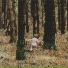 Principles Of Geometry Starring Sébastien Tellier