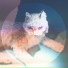 Simian Ghost