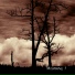 Lost in Desolation