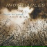 Inoxidables