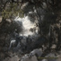 Darkenhöld - Memoria Sylvarum 2017