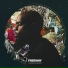 Freeway feat. Lil Wayne