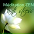 Musique Zen Garden