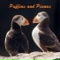 Prodigal Puffins