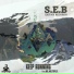 S.E.B feat. Mr. Multiplex
