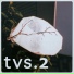 TVS