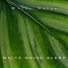 White Noise