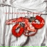 TnT feat. Milz Jakeem, DJ Bigg Bizz