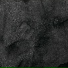Roberto Crippa