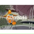 BABYBO$$