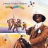 Johnny Guitar Watson