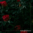 [TCM] Smare