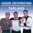 Gagik Gevorgyan