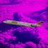 Peter-Werner Scharnweber & EDMC of Aviation e.V.