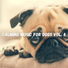 Lillo Dog Robwer