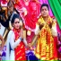 Golu Tiger