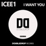 ICEE1