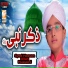 Syed Hassan Ullah Hussaini
