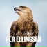 Per Ellingsen