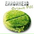 Errorhead