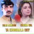 Shah Mamood, Sheena Gul