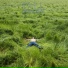 Idyll