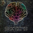 Sektion3
