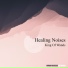 Healing Noises