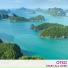 Otso