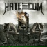 Hatedotcom