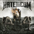 Hatedotcom - [2014]