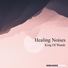 Healing Noises