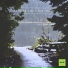 Ambi Nature Sounds, Ambi Nature Radio