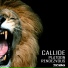 Callide