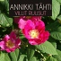 Annikki Tähti