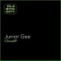 Junior Gee