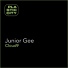 Junior Gee