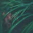 Heavy Rain Sounds, Relaxamento, Nature Soundscape