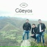 Güeyos