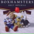 Boxhamsters