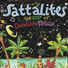 The Sattalites, Sattalite