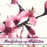 Mindfulness Peace Oasis