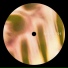 Modes